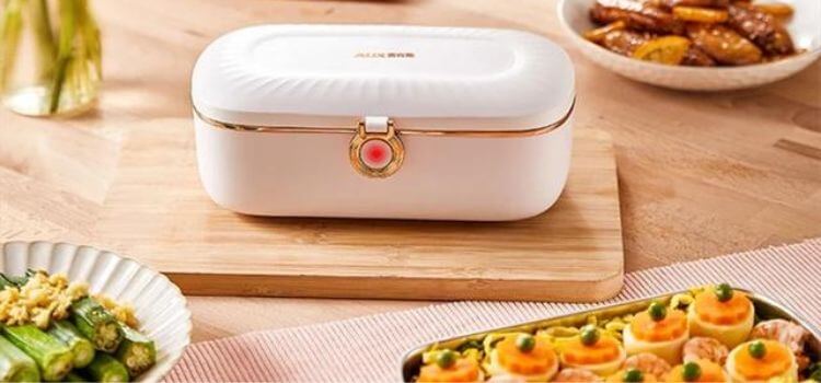 What is the Best Electric Lunch Box